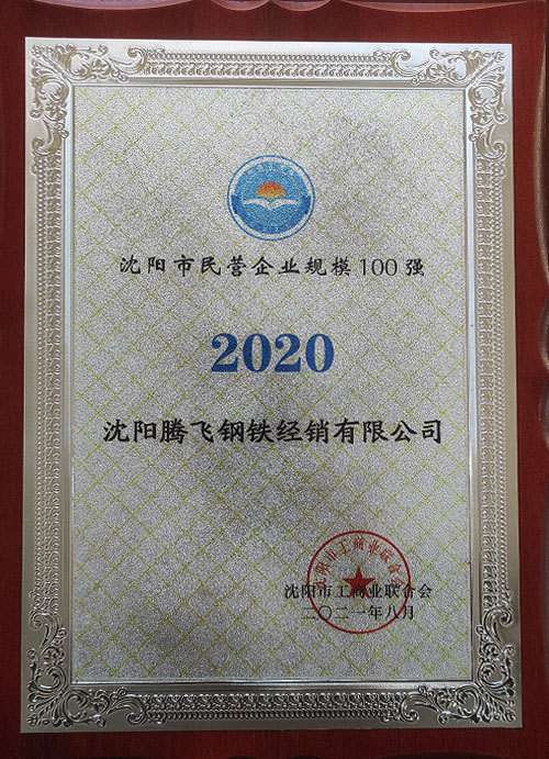 Top 100 Private Enterprises in Shenyang in 2020