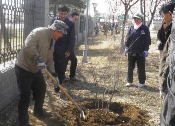 大地回暖绿意浓 桃花锦簇送春来 大地回暖绿意浓 桃花锦簇送春来