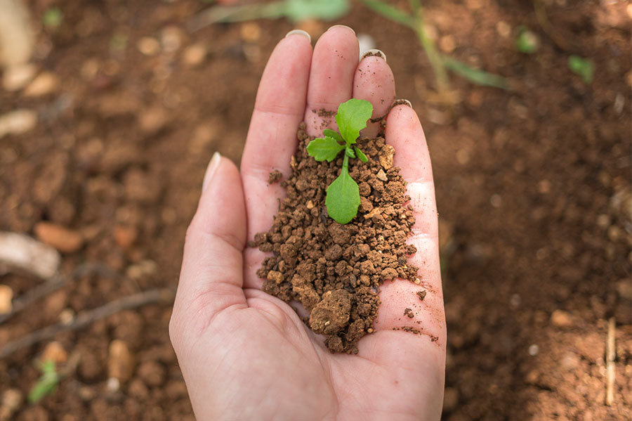 Soil remediation