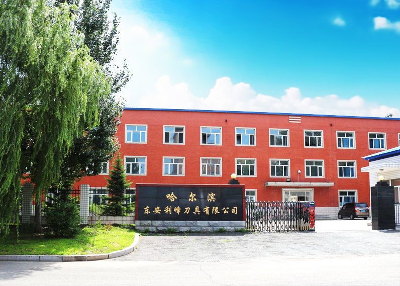 HARBIN DONGAN LIFEGN CUTTING TOOL CO., LTD