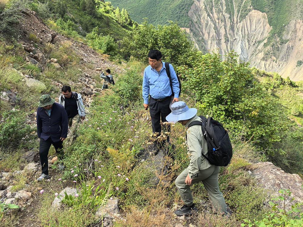 Wanrun Mining General Manager and Senior Geologist Deng Bin, and Professor-level Senior Engineer Zuo Jingxun led their team in conducting field geological work in Zimbabwe.