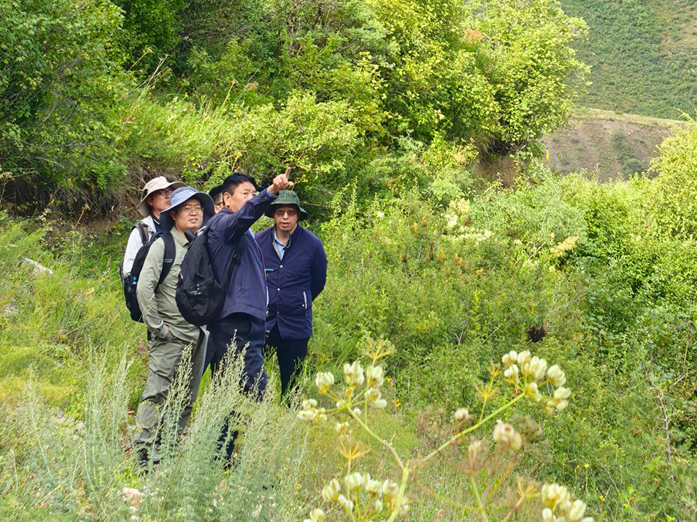Wanrun Mining General Manager and senior geologist Deng Bin, and professor-level senior engineer Zuo Jingxun led a team to conduct field geological work in Zimbabwe for 5 days