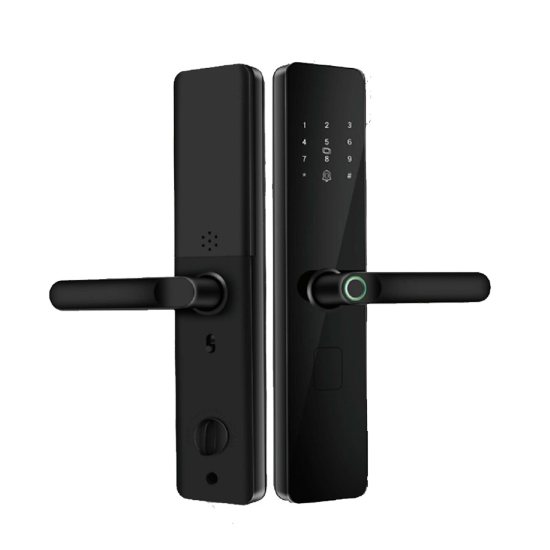 Outdoor Smart Lock For Gate