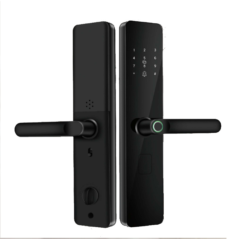 Outdoor Smart Lock For Gate
