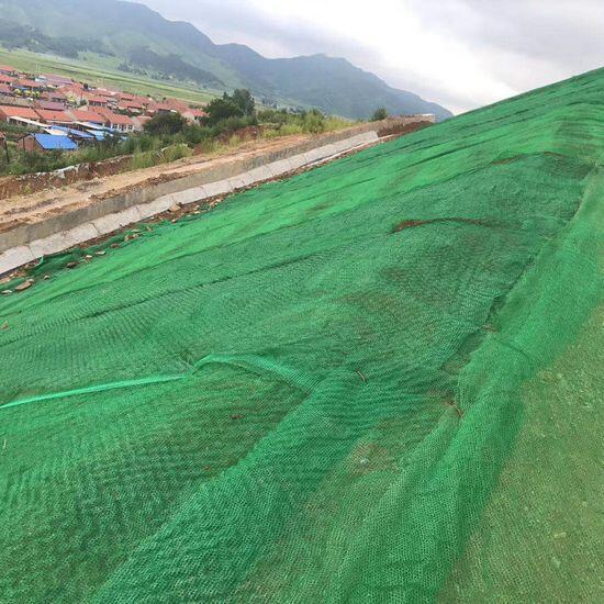 Three-dimensional vegetation nets
