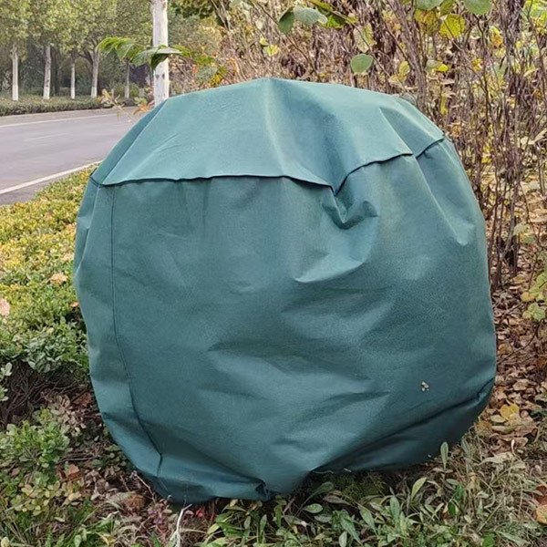 Ecological Bag