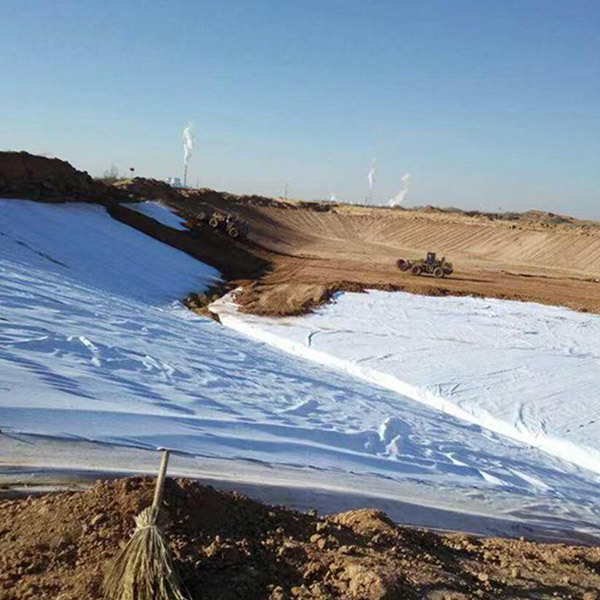 Essential Guide to Geomembranes for Garden Ponds: Benefits and Applications
