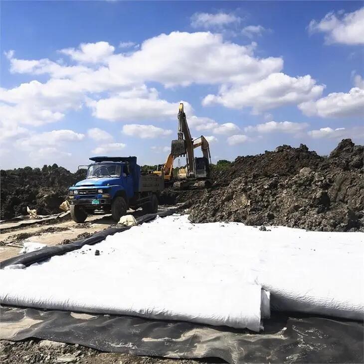 Composite Geomembrane