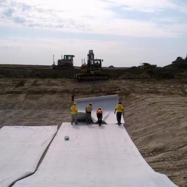 Film-coated Sodium Bentonite Waterproof Blanket (GCL)