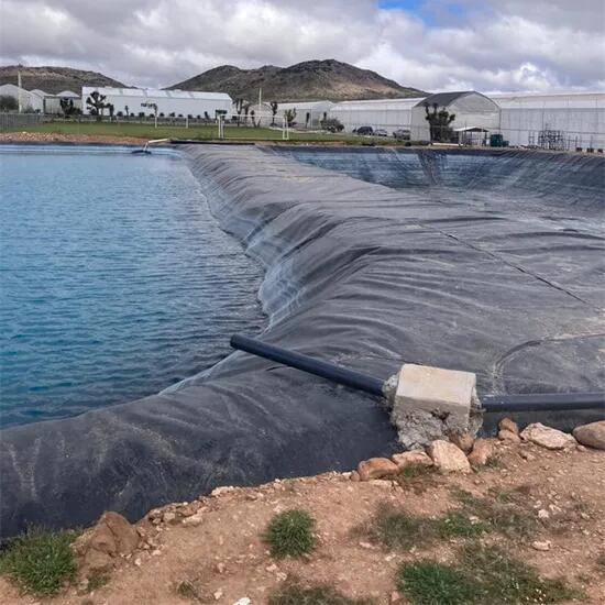 HDPE Geomembrane – A Highly Effective Waterproofing Solution for Industrial & Environmental Applications