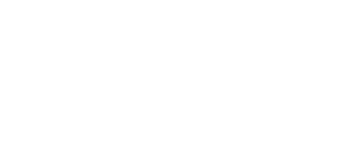 发展历程 发展历程