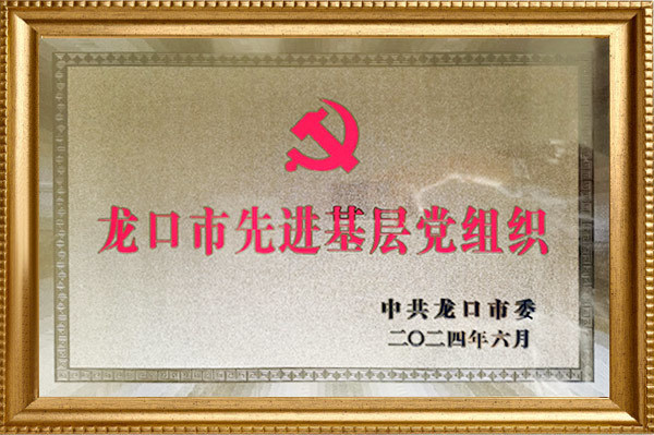 Longkou Advanced Grassroots Party Organisation