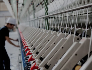 Textile Field Textile Field