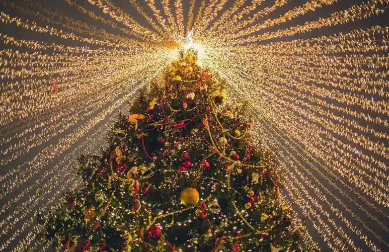 Merry Christmas and Happy New Year