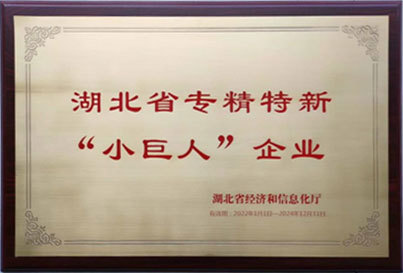 專精特新“小巨人” 專精特新“小巨人”