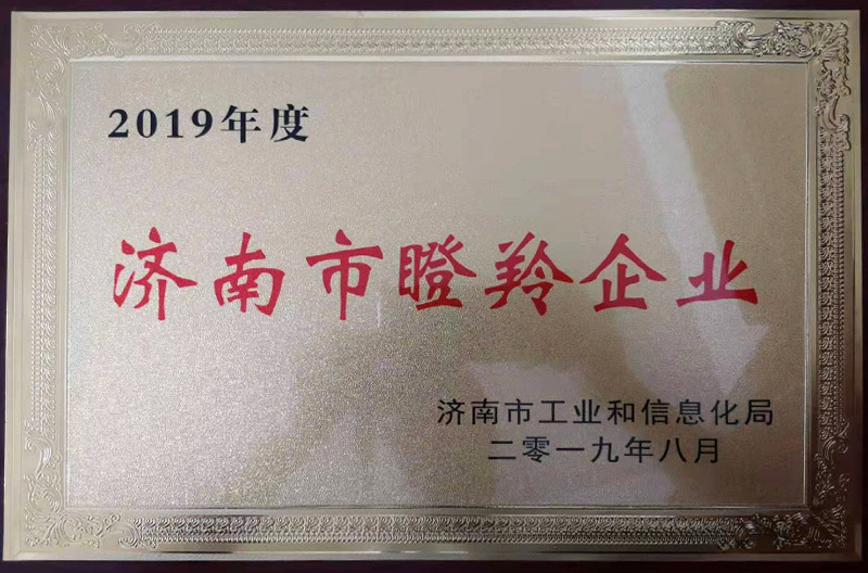 瞪羚企业