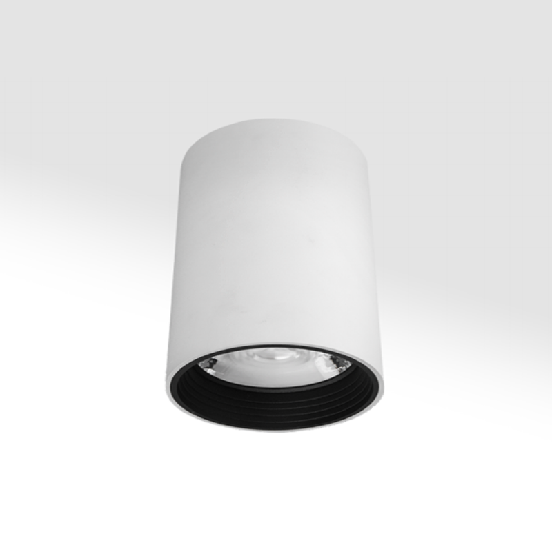 C6011 20W
