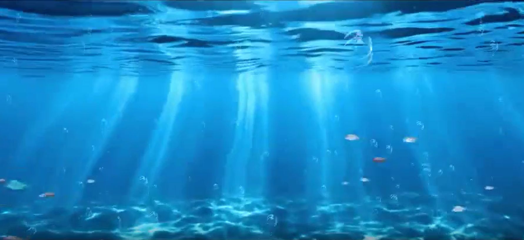 Venezina promotional video