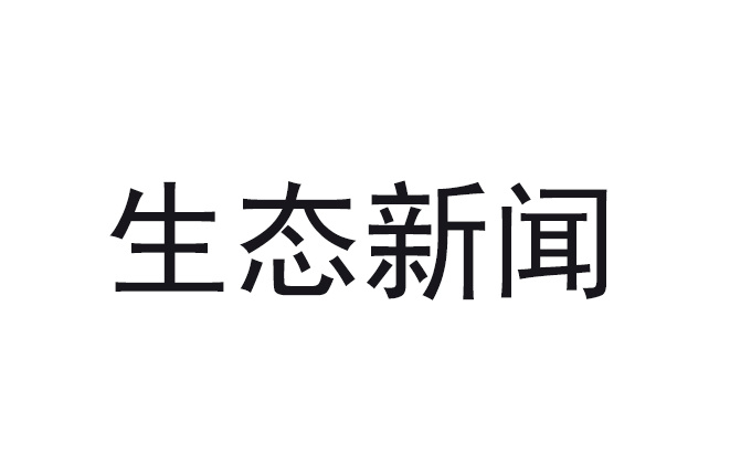 RISC-V生态“战法”，“新玩家”珠海能否突围？丨拆解珠海未来产业⑦