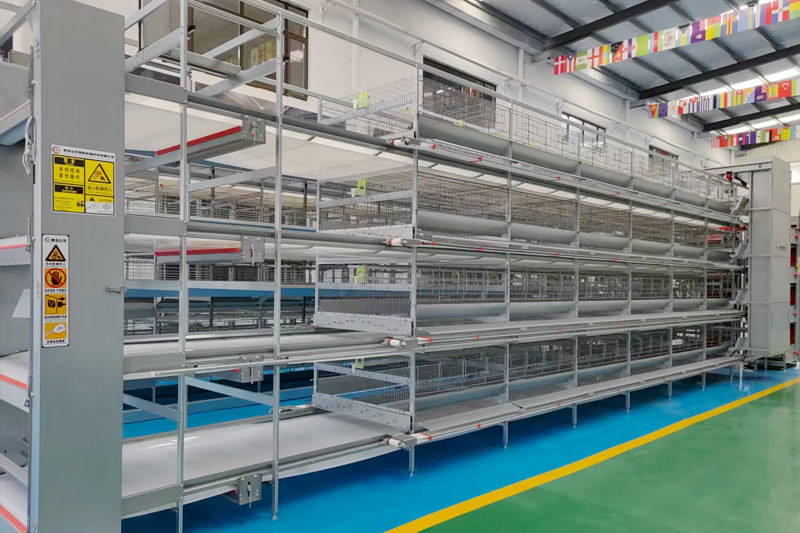 Layer Duck Cage