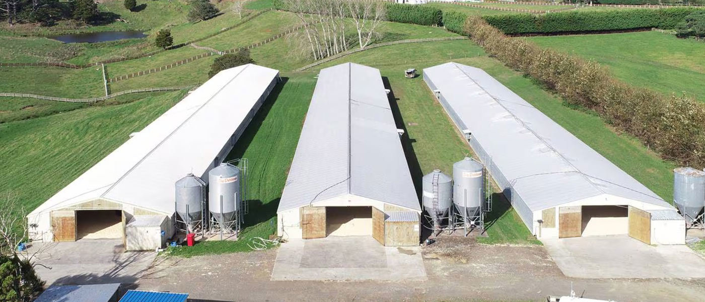 Silo& Conveying System