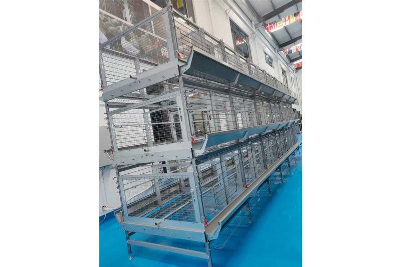 Poultry Hybridization Cage