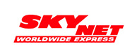 Skynet Skynet