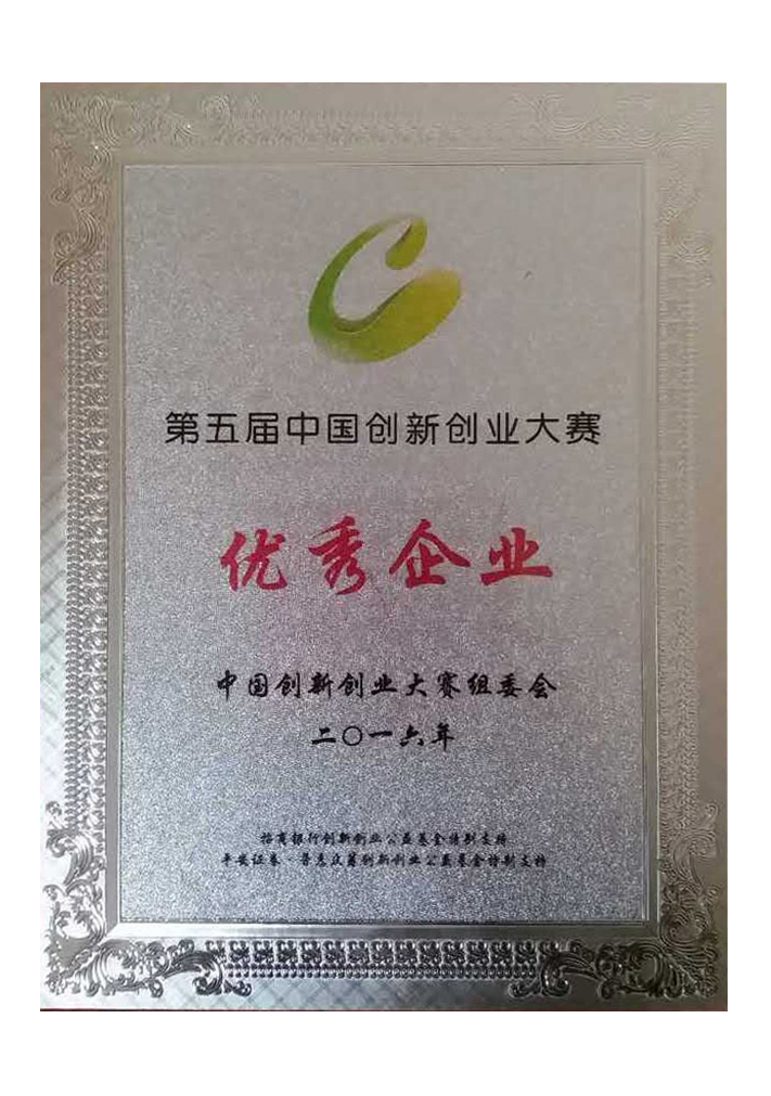 Excellent Enterprise in the National Innovation and Entrepreneurship Competition