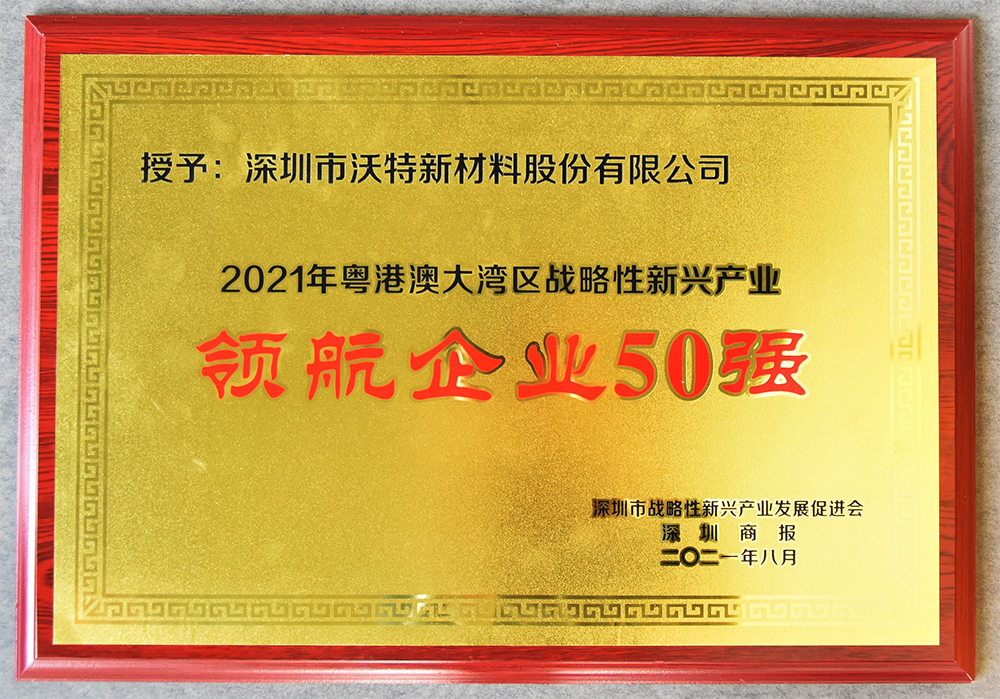 澳门太阳集团城welcome喜获双荣｜粤港澳大湾区战新产业“拓荒人物”“领航企业50强”颁奖盛典举行(图6)
