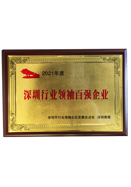 Top 100 Shenzhen Industry Leaders