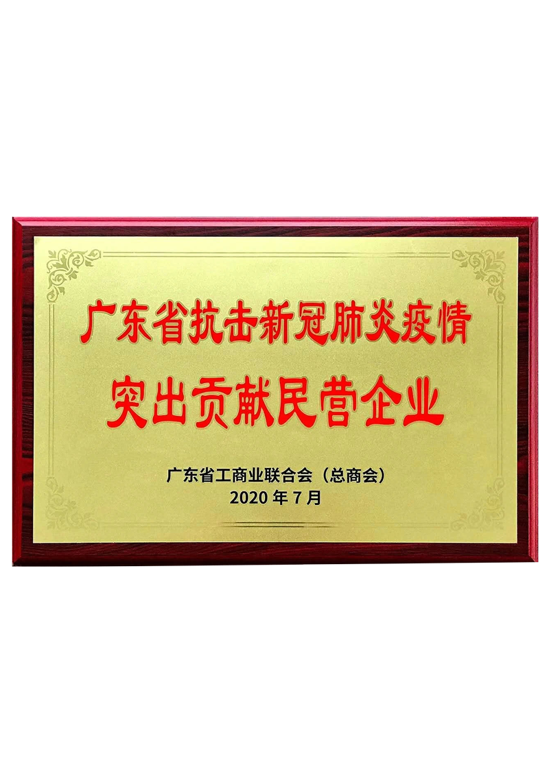 Private enterprises with outstanding contributions to the fight against the COVID-19 in Guangdong Province