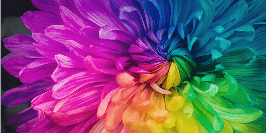 Pigment industry: international cooperation to expand development space