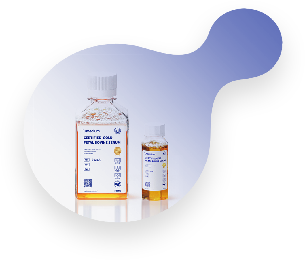 Fetal Bovine Serum