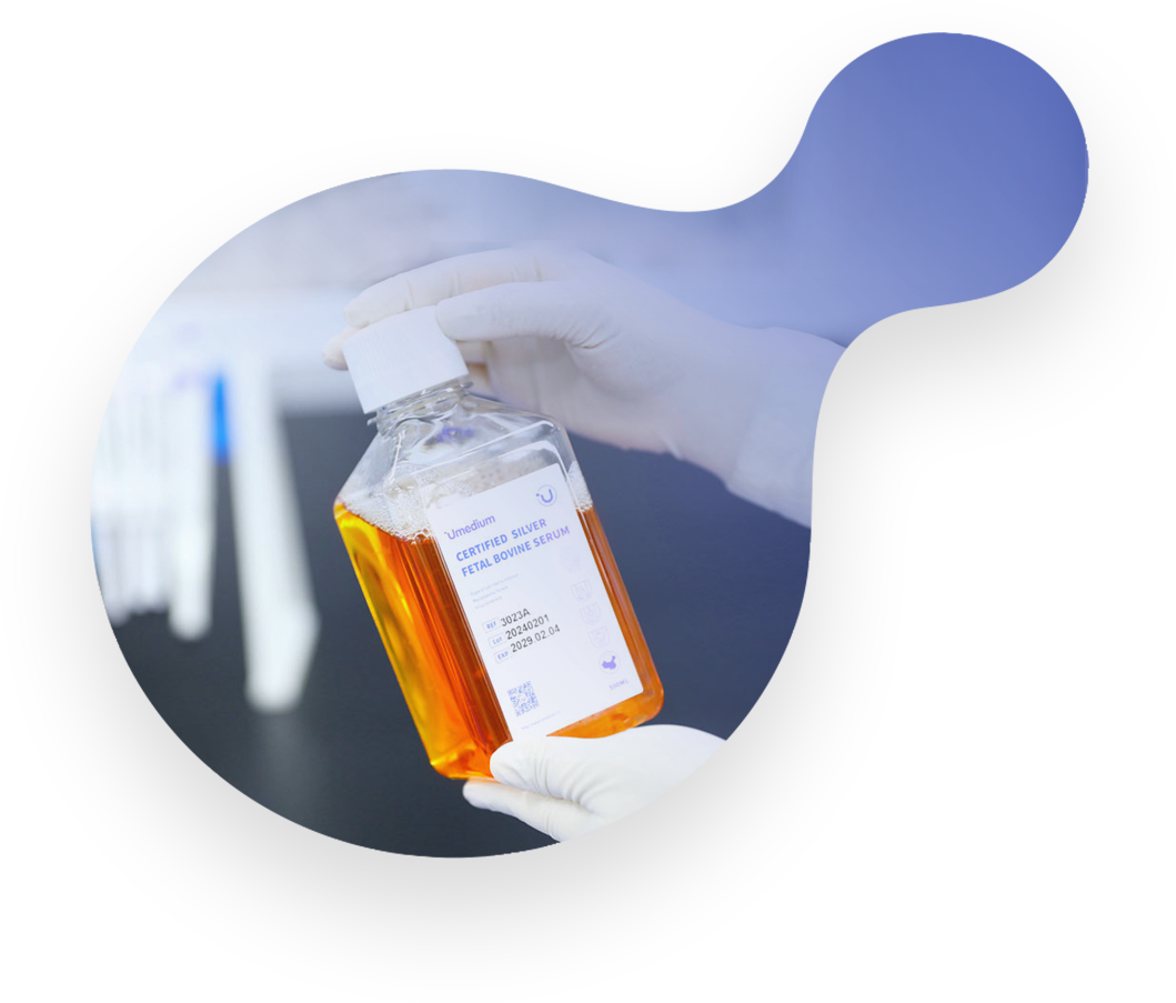 Fetal Bovine Serum