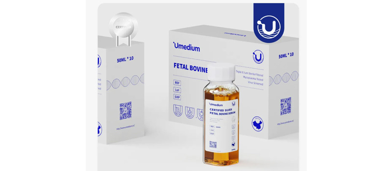 Umedium serum | IF=12.7, high-scoring literature from the Affiliated Hospital of Southwest Medical University