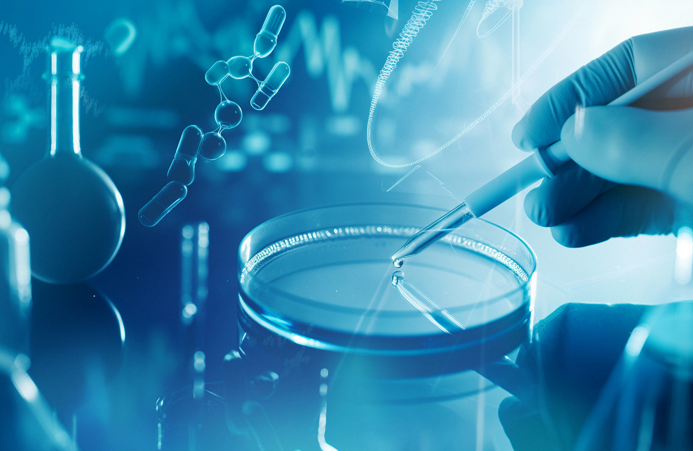 Quality Management System Quality Management System