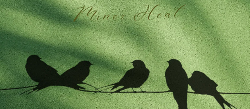 Suddenly, a warm breeze arrives, and then subtly, Minor Heat comes.
