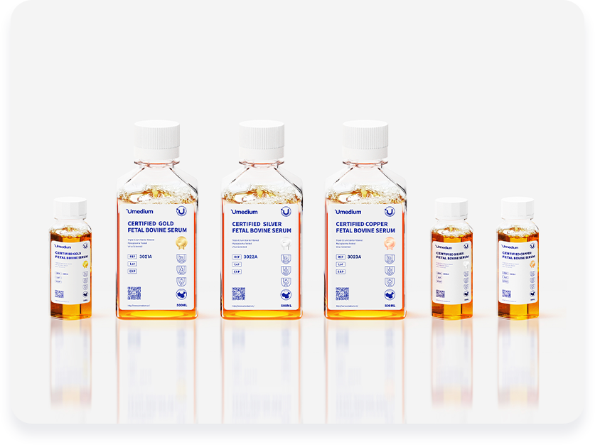 Anhui Gezhe Biotechnology Co., Ltd. Anhui Gezhe Biotechnology Co., Ltd.