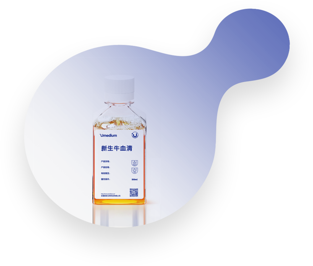 Newborn Calf Serum