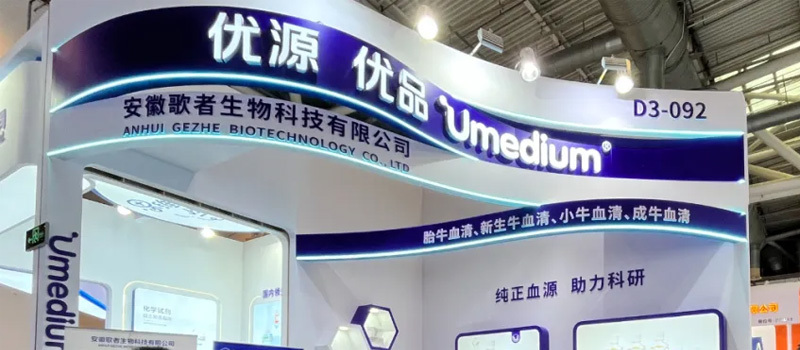 Reviewing BIOCHINA 2025: GEZHE Biotechnology's Technological Breakthroughs and Market Expansion
