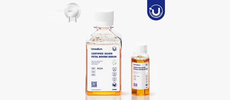 A mini-lecture on bovine serum (Part 1)