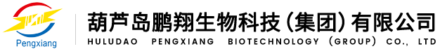 葫芦岛鹏翔生物科技（集团）有限公司