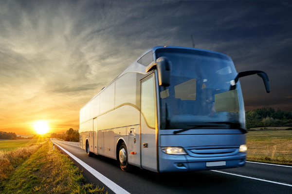 Bus Bus