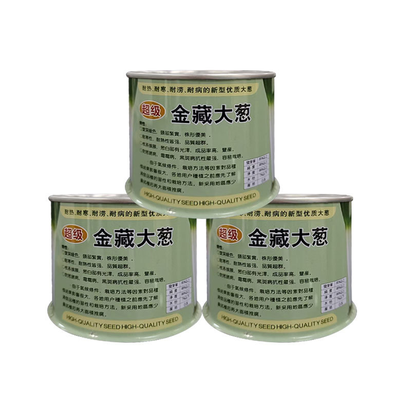 金藏大葱