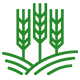 Jisheng Agriculture Jisheng Agriculture