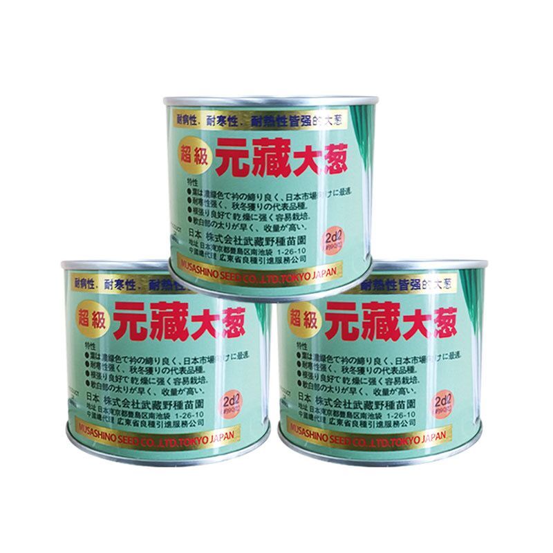 Yuan Tibetan scallions