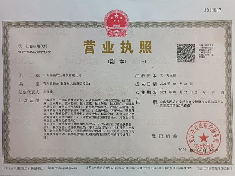 Business License