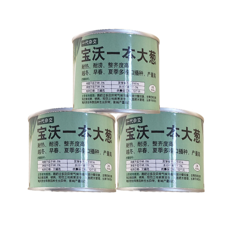 宝沃一本大葱