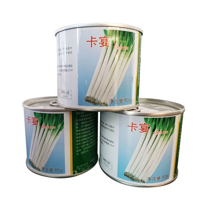 卡宴大葱