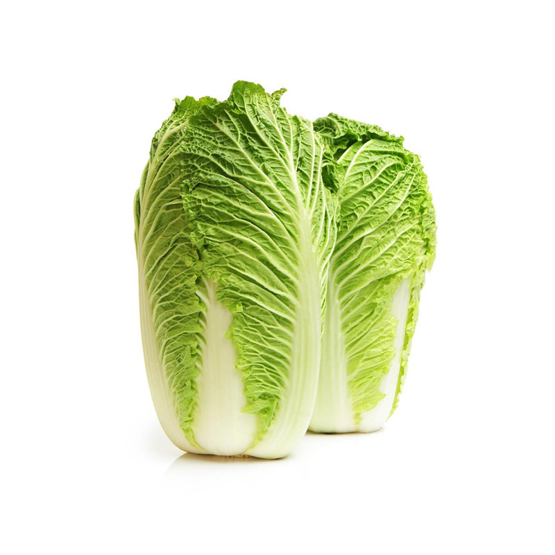 Cabbage